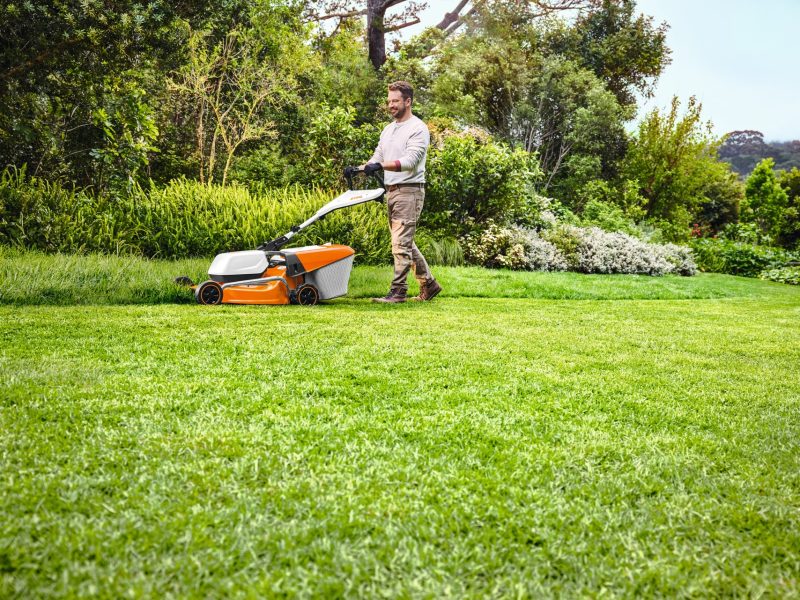 rasaerba-elettrico-cura-giardino